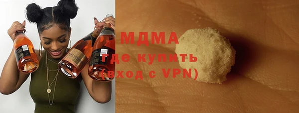 индика Алексин