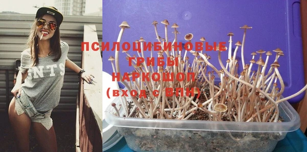 ешки Алзамай
