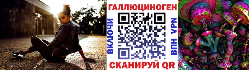Псилоцибиновые грибы Cubensis Струнино